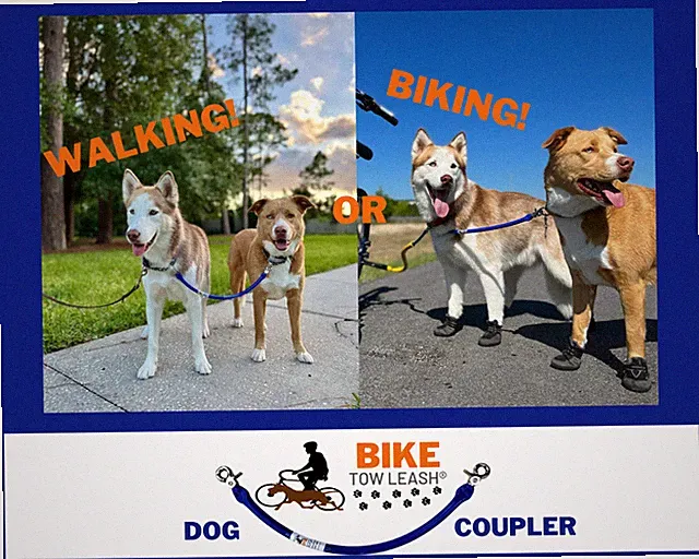 Dog Coupler for Biking and Walking