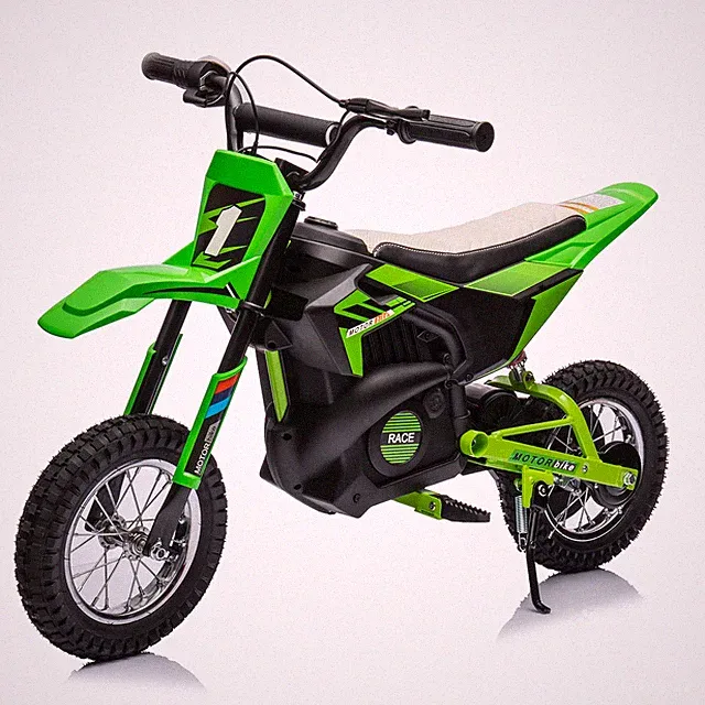 Kids Electric Dirt Bike 24V 250W Off-Road Motorcycle with Leather Seat
