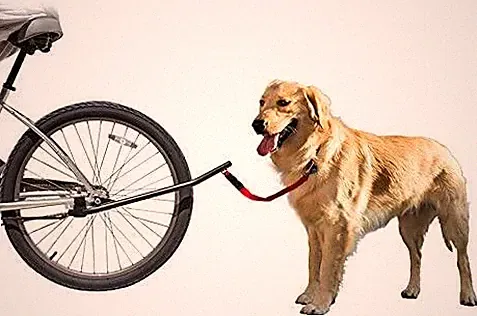 NEW Sunlite bicycle DOG LEASH ATTACHMENT