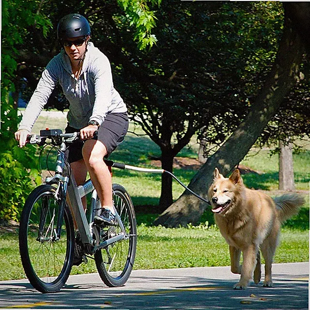 Stainless Steel Bike Leash for Pet Dogs